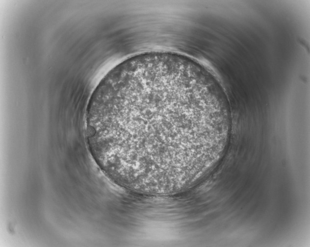 X0000101481287200808041120