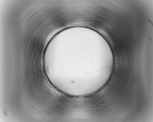 X0000101481288200808041120