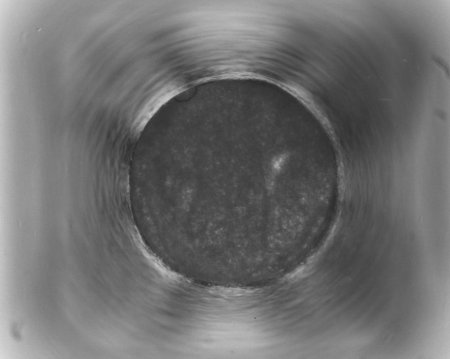 X0000101481289200808041120