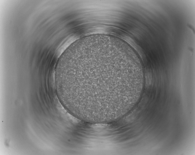 X0000101481290200808041120