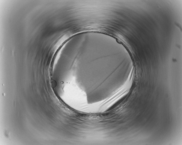 X0000101481291200808041120