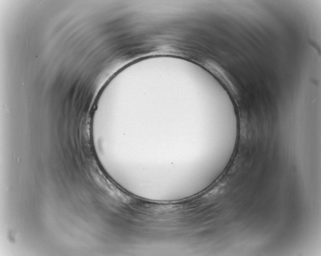 X0000101481292200808041120