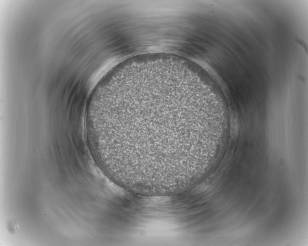 X0000101481294200808041120