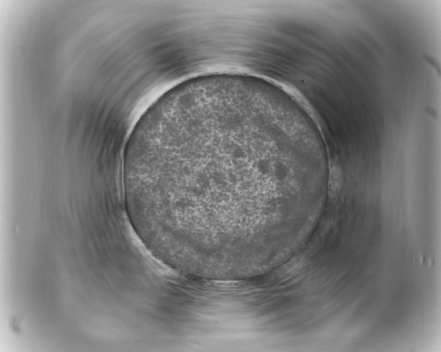 X0000101481295200808041120