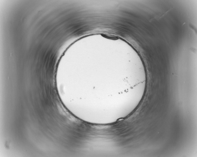 X0000101481296200808041120