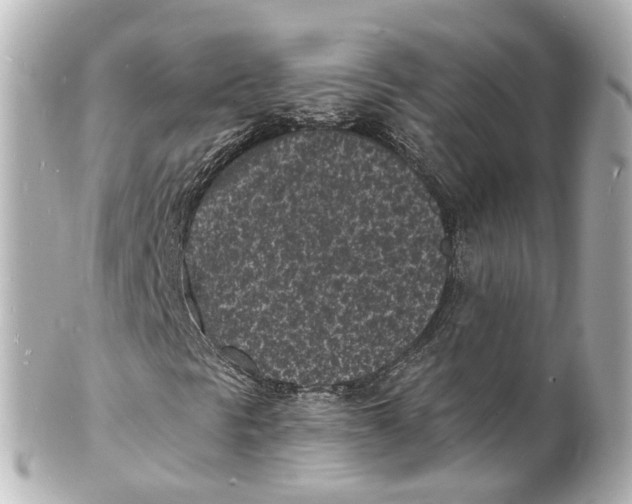 X0000101481297200808041119