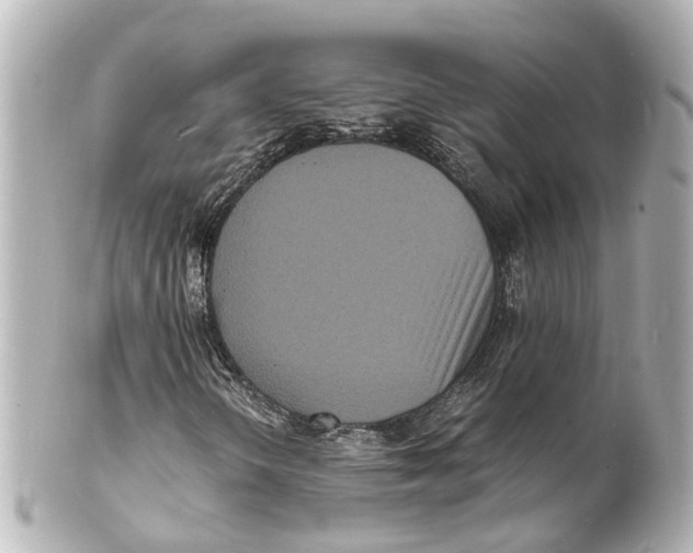 X0000101481298200808041119