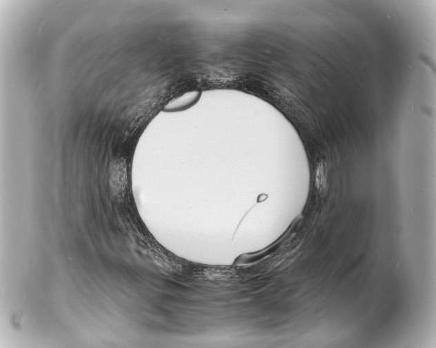 X0000101481299200808041119