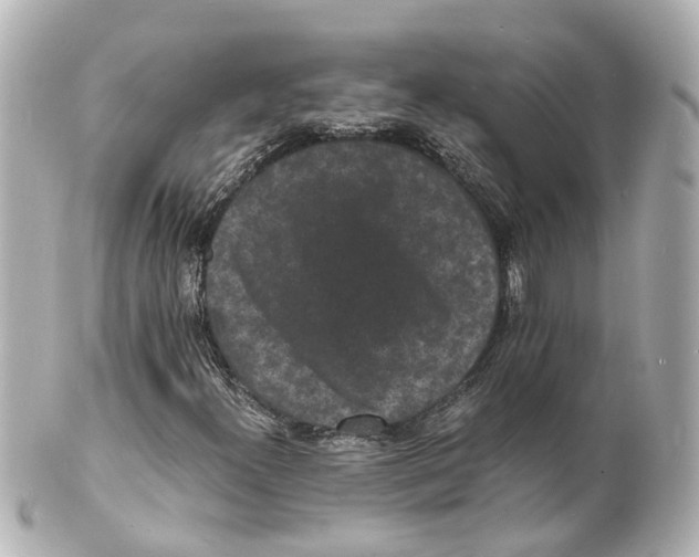 X0000101481300200808041119