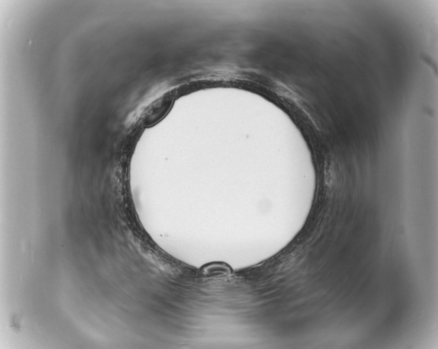 X0000101481304200808041119