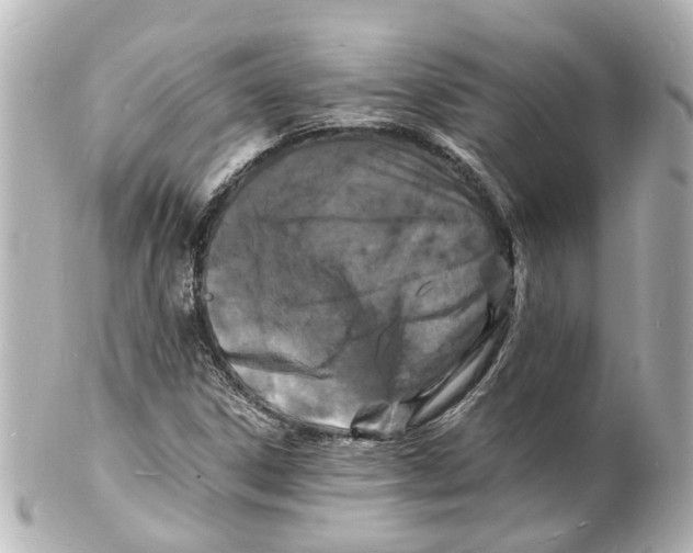 X0000101481306200808041119