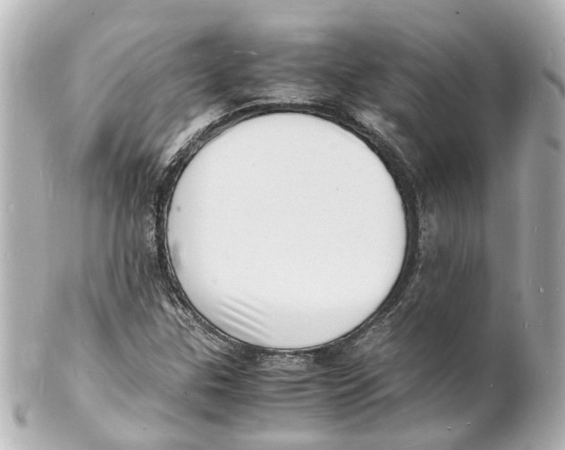 X0000101481307200808041119