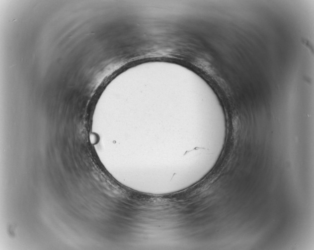 X0000101481308200808041119