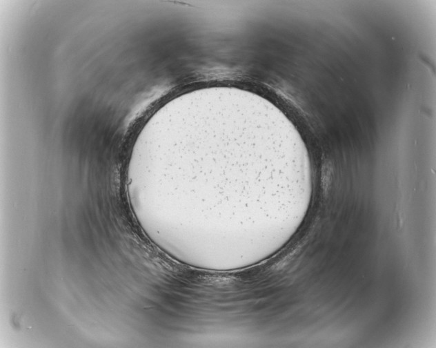 X0000101481309200808041119