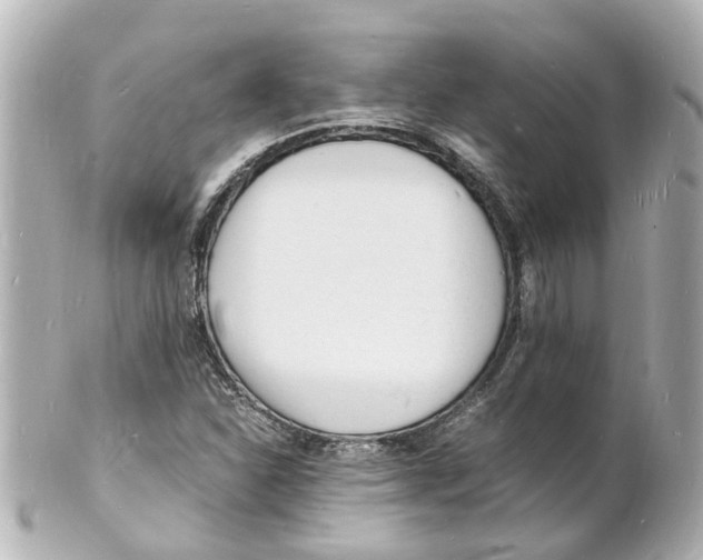 X0000101481310200808041119