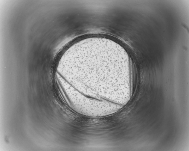 X0000101481311200808041119