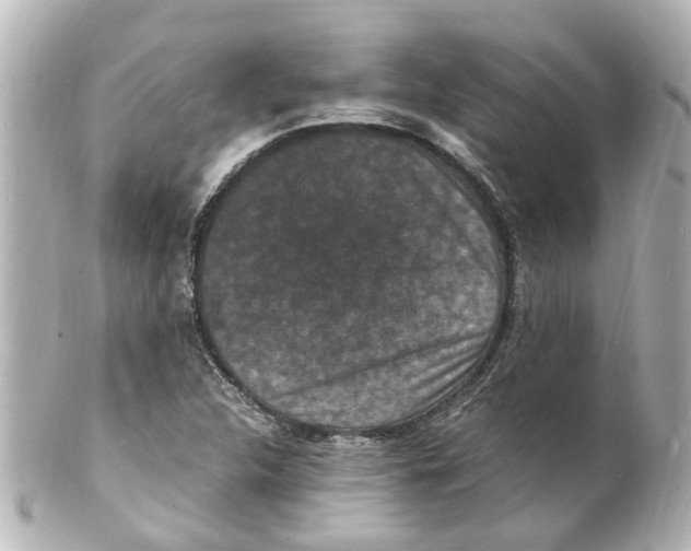 X0000101481312200808041119