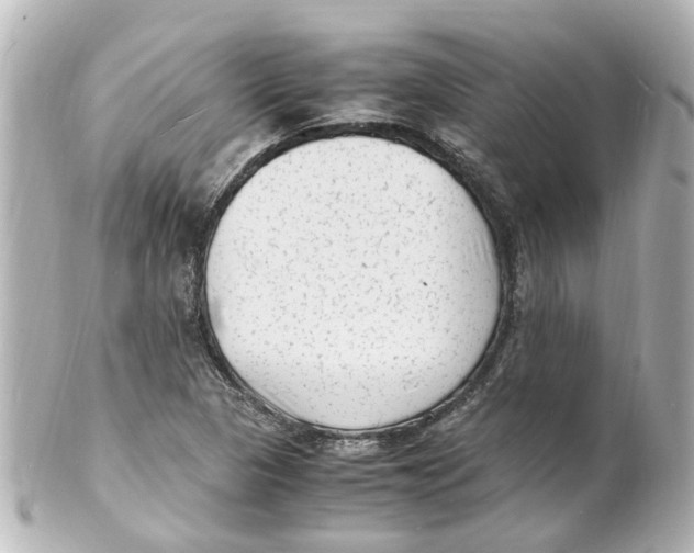 X0000101481313200808041119