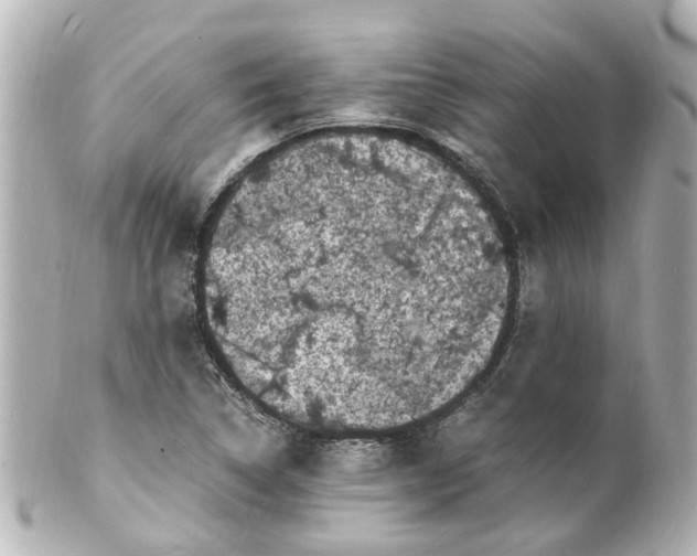 X0000101481314200808041119