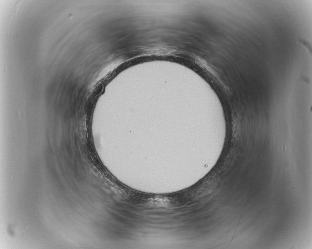 X0000101481315200808041119