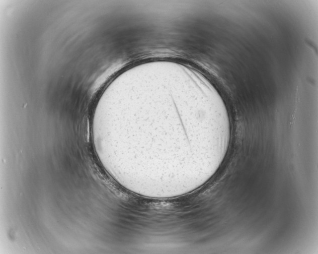 X0000101481317200808041119