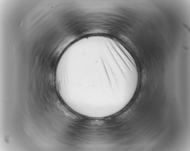 X0000101481321200808041119