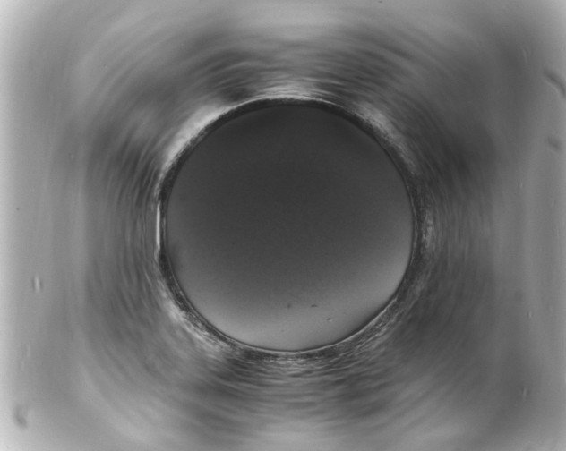 X0000101481323200808041119