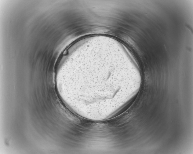 X0000101481324200808041119