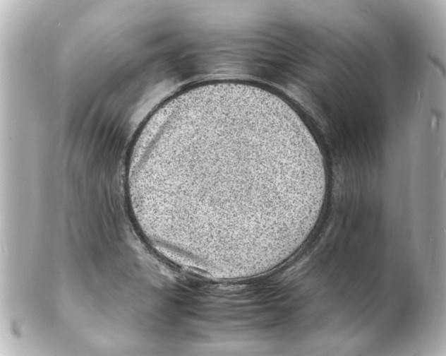 X0000101481325200808041119