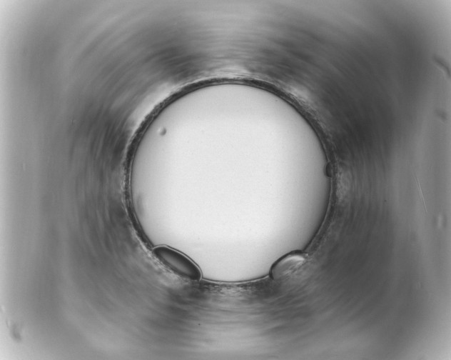 X0000101481326200808041119