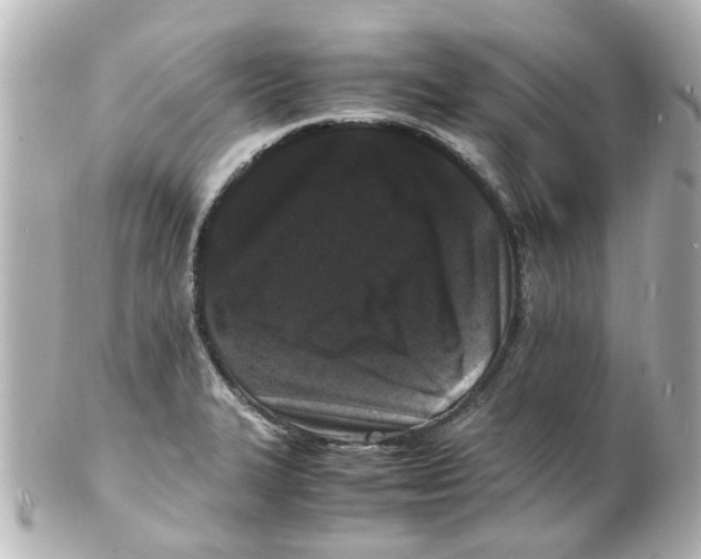 X0000101481327200808041119