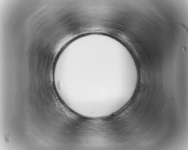 X0000101481328200808041119