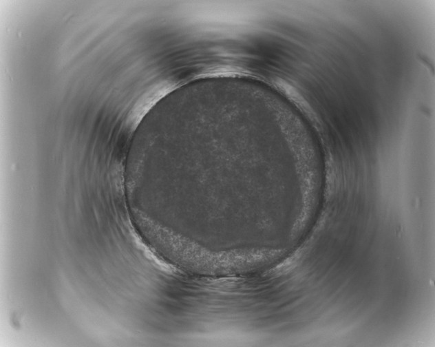 X0000101481329200808041119