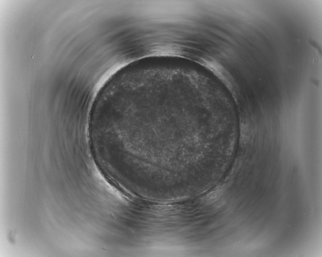 X0000101481331200808041119