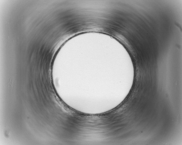 X0000101481332200808041119