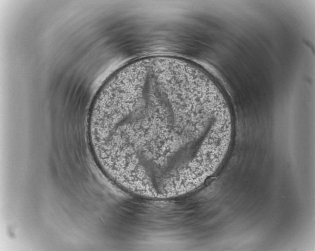 X0000101481333200808041119