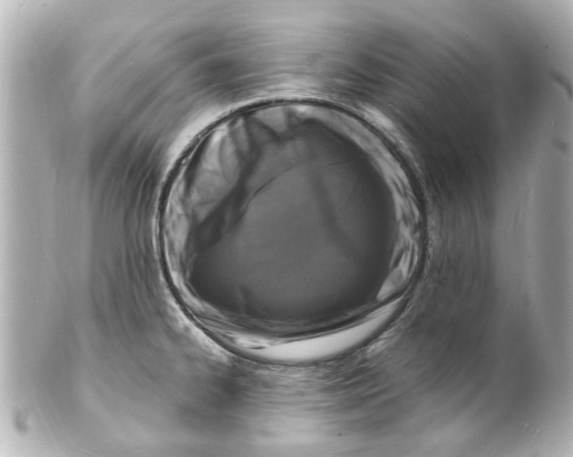 X0000101481334200808041119