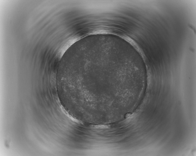 X0000101481337200808041119