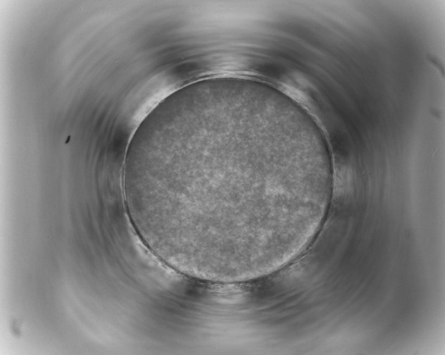 X0000101481338200808041119