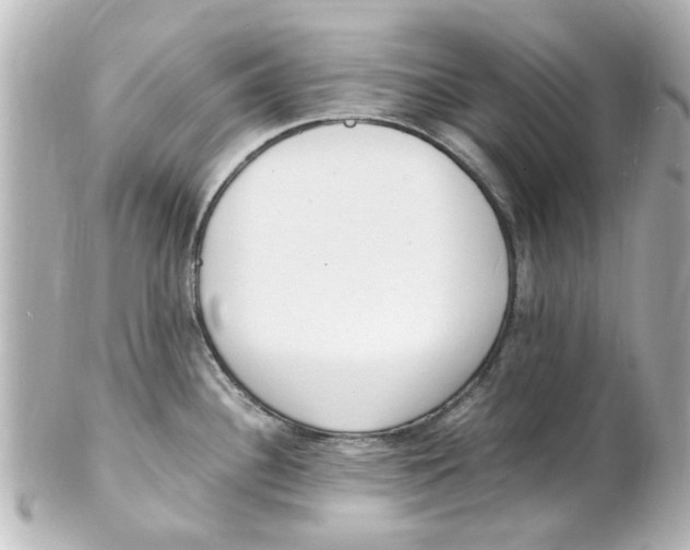 X0000101481340200808041119