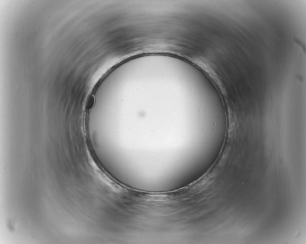 X0000101481342200808041120