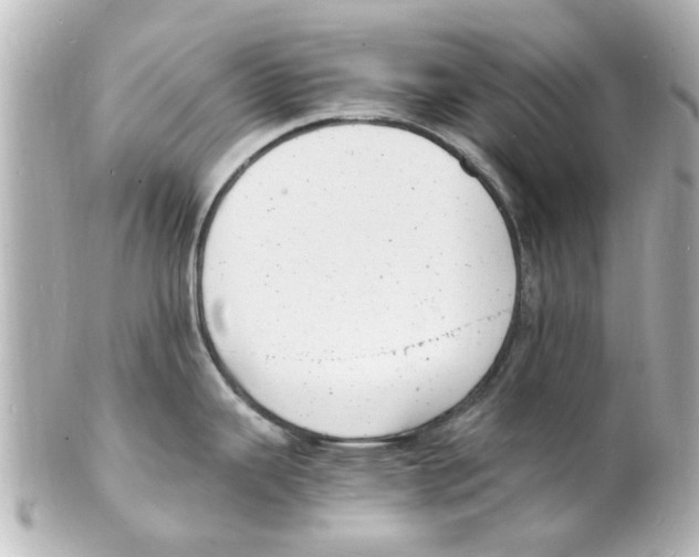 X0000101481343200808041120