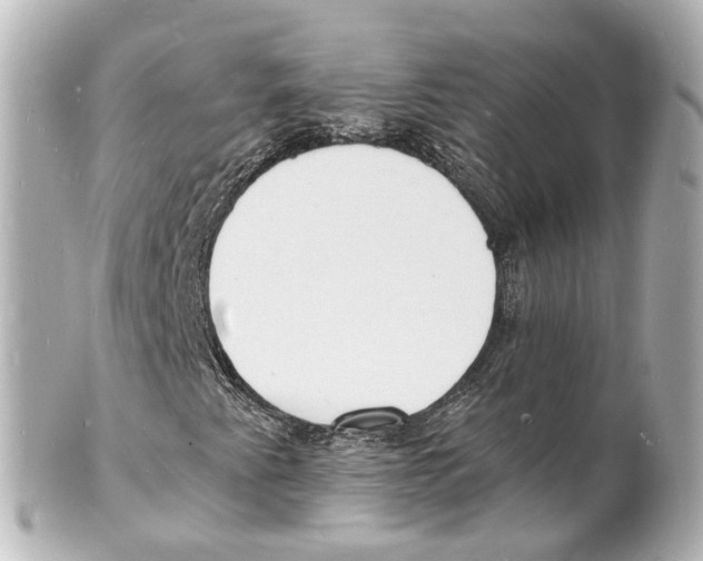 X0000101481345200808041119