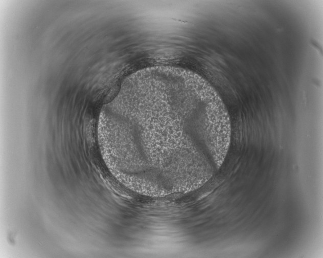 X0000101481346200808041119