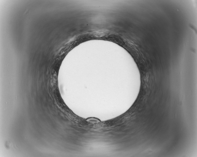 X0000101481349200808041119