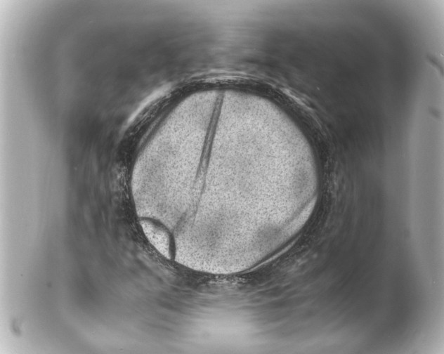 X0000101481351200808041119