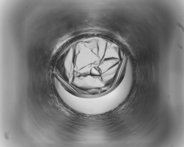 X0000101481352200808041119