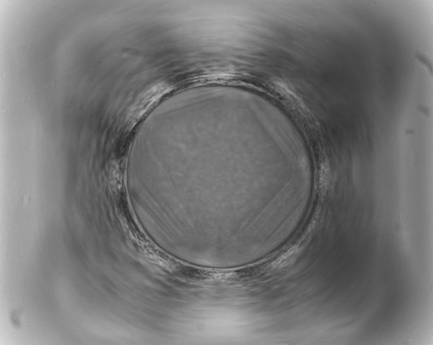 X0000101481353200808041119