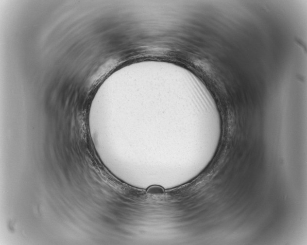 X0000101481354200808041119