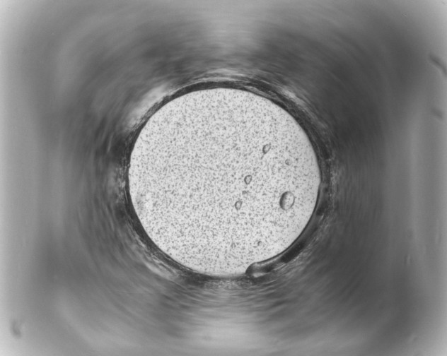 X0000101481355200808041119